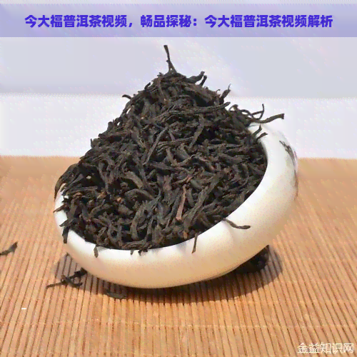 今大福普洱茶视频，畅品探秘：今大福普洱茶视频解析