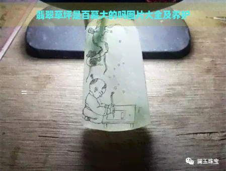 翡翠草坪是百慕大的吗图片大全及养护