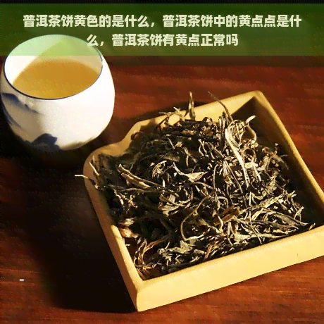 普洱茶饼黄色的是什么，普洱茶饼中的黄点点是什么，普洱茶饼有黄点正常吗