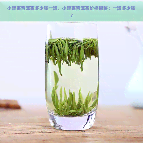 小罐茶普洱茶多少钱一罐，小罐茶普洱茶价格揭秘：一罐多少钱？