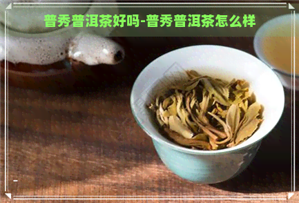 普秀普洱茶好吗-普秀普洱茶怎么样