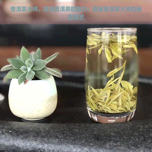 普洱茶大师，探寻普洱茶的魅力：揭秘普洱茶大师的秘密技艺