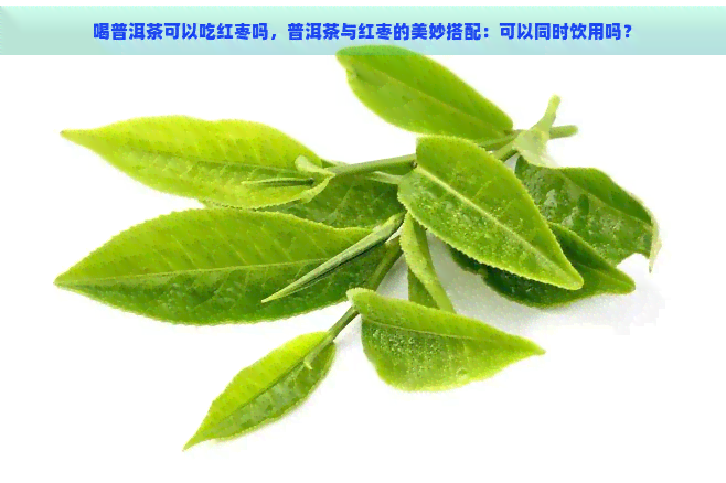 喝普洱茶可以吃红枣吗，普洱茶与红枣的美妙搭配：可以同时饮用吗？