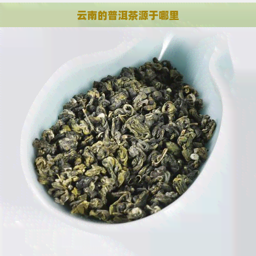 云南的普洱茶源于哪里