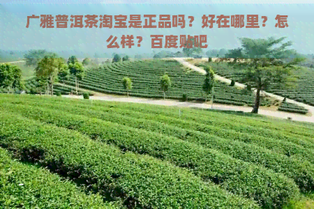 广雅普洱茶淘宝是正品吗？好在哪里？怎么样？百度贴吧