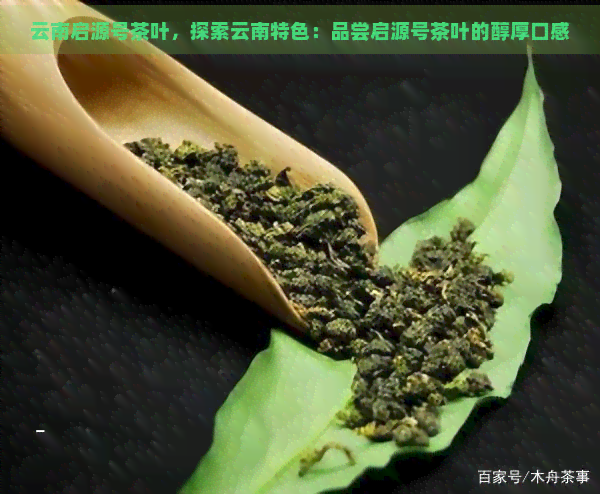 云南启源号茶叶，探索云南特色：品尝启源号茶叶的醇厚口感