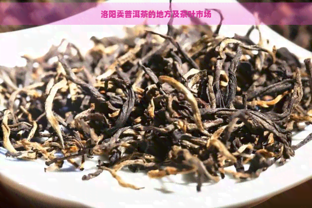 洛阳卖普洱茶的地方及茶叶市场