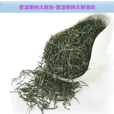 普洱茶持久耐泡-普洱茶持久耐泡吗