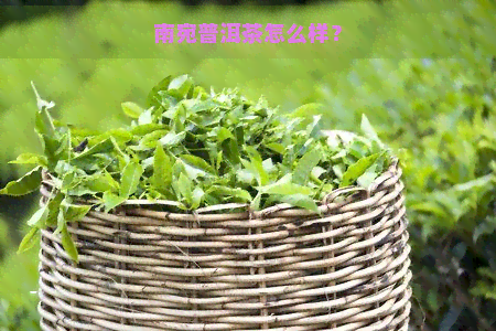 南宛普洱茶怎么样？