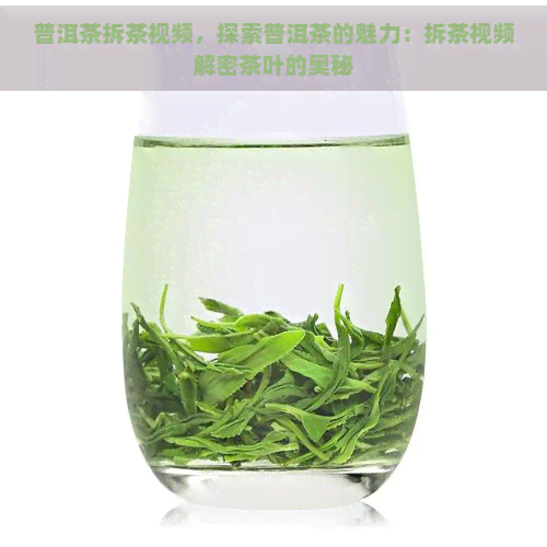 普洱茶拆茶视频，探索普洱茶的魅力：拆茶视频解密茶叶的奥秘