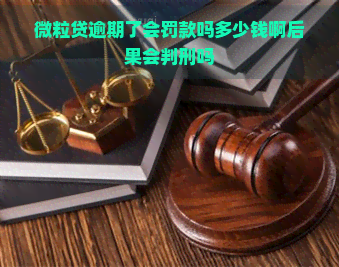 微粒贷逾期了会罚款吗多少钱啊后果会判刑吗