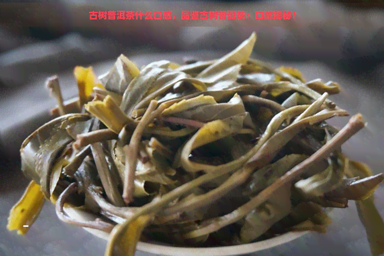 古树普洱茶什么口感，品鉴古树普洱茶：口感揭秘！