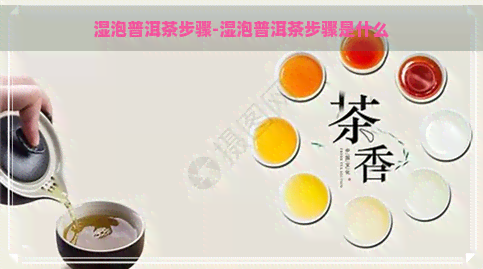 湿泡普洱茶步骤-湿泡普洱茶步骤是什么