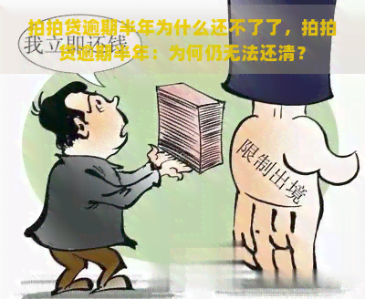 逾期半年为什么还不了了，逾期半年：为何仍无法还清？