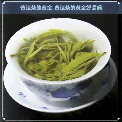 普洱茶的黄金-普洱茶的黄金好喝吗