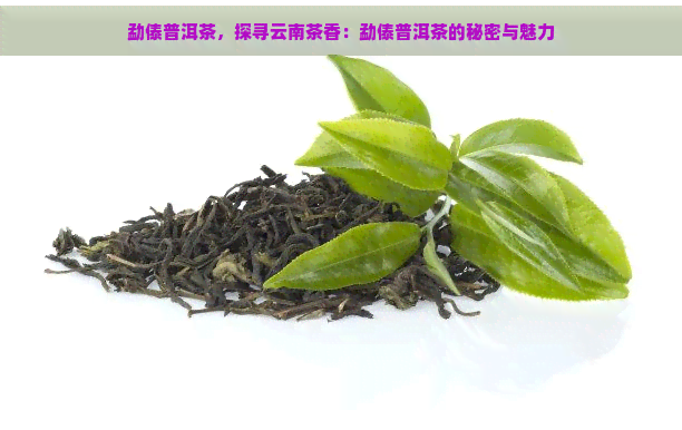 勐傣普洱茶，探寻云南茶香：勐傣普洱茶的秘密与魅力