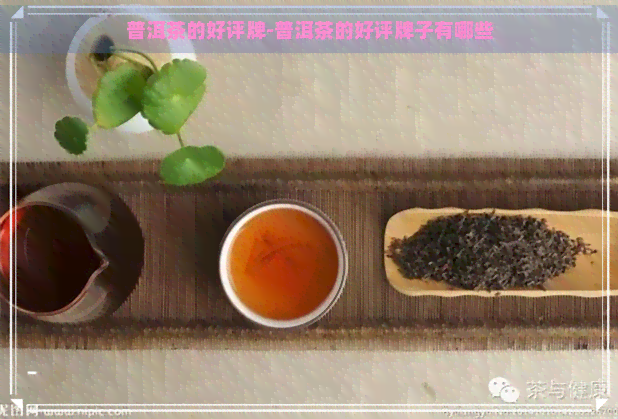 普洱茶的好评牌-普洱茶的好评牌子有哪些