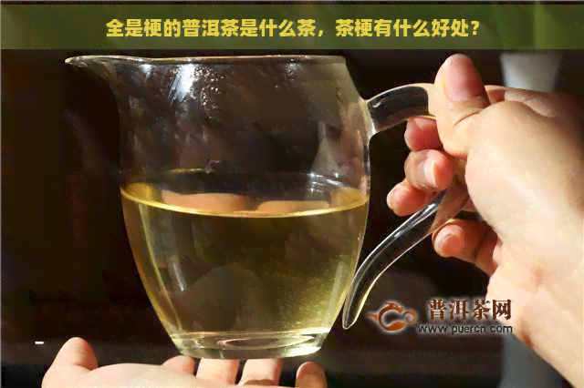 全是梗的普洱茶是什么茶，茶梗有什么好处？