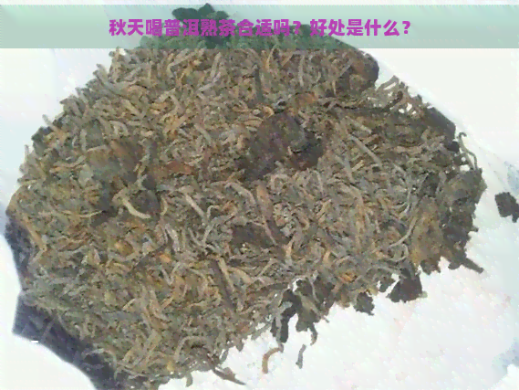 秋天喝普洱熟茶合适吗？好处是什么？