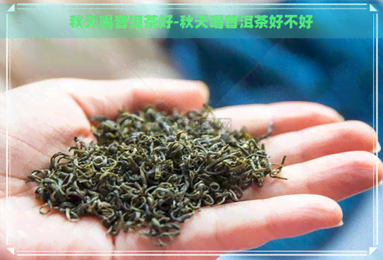 秋天喝普洱茶好-秋天喝普洱茶好不好