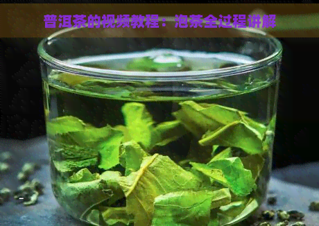 普洱茶的视频教程：泡茶全过程讲解