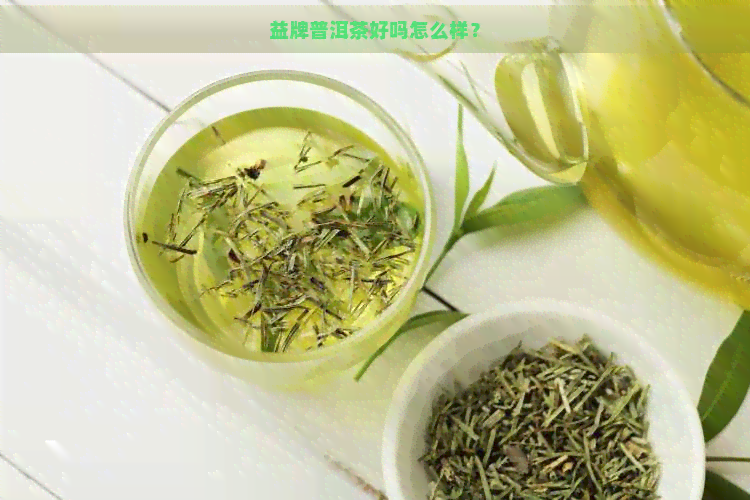 益牌普洱茶好吗怎么样？