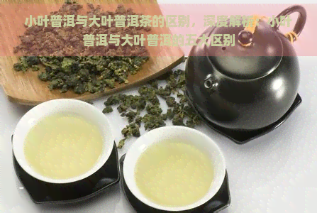 小叶普洱与大叶普洱茶的区别，深度解析：小叶普洱与大叶普洱的五大区别