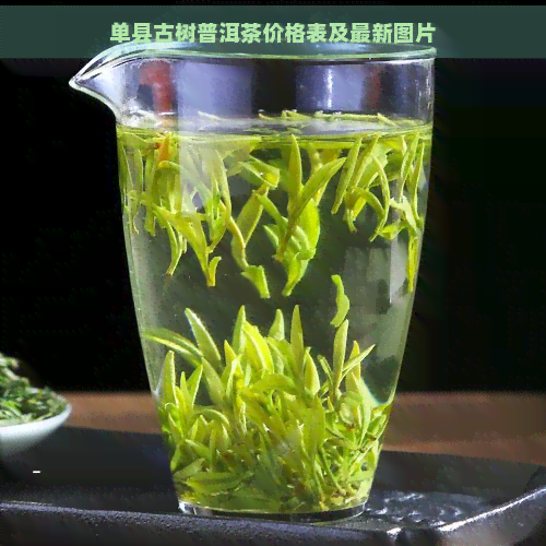 单县古树普洱茶价格表及最新图片