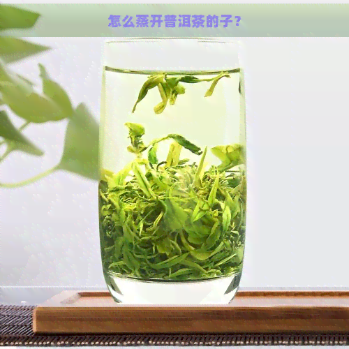 怎么蒸开普洱茶的子？