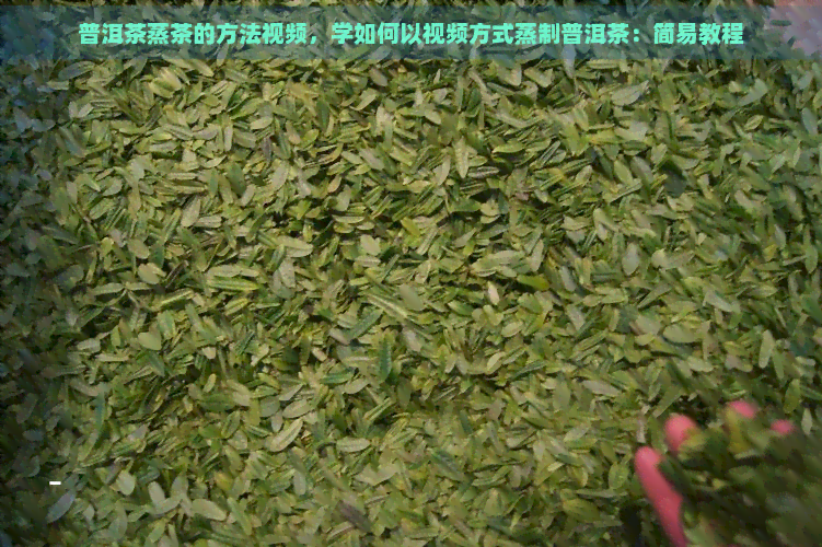 普洱茶蒸茶的方法视频，学如何以视频方式蒸制普洱茶：简易教程