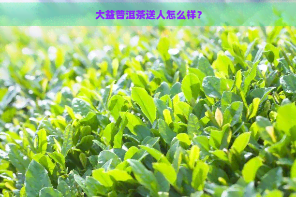 大益普洱茶送人怎么样？