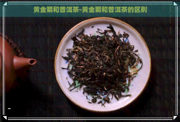 黄金菊和普洱茶-黄金菊和普洱茶的区别