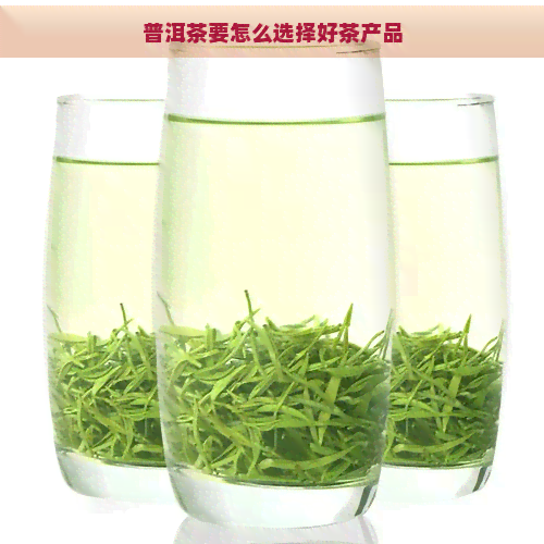 普洱茶要怎么选择好茶产品