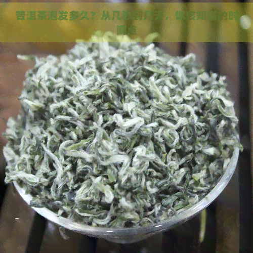 普洱茶泡发多久？从几秒到几天，你该知道的时间点