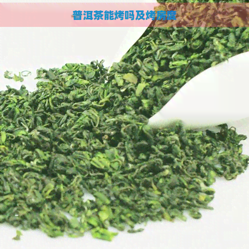 普洱茶能烤吗及烤房度