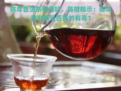 陈年普洱茶有吗，真相揭示：陈年普洱茶是否真的有？