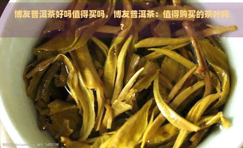 博友普洱茶好吗值得买吗，博友普洱茶：值得购买的茶叶吗？