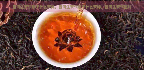 普洱生茶饼属于什么茶类，普洱生茶饼属于什么茶种，普洱生茶饼图片