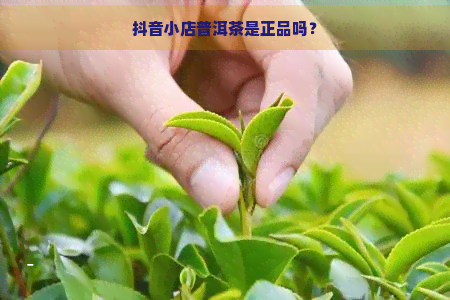 抖音小店普洱茶是正品吗？