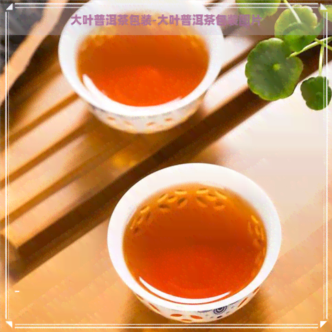 大叶普洱茶包装-大叶普洱茶包装图片