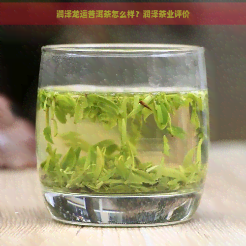 润泽龙运普洱茶怎么样？润泽茶业评价