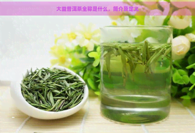 大益普洱茶全称是什么，简介及定义