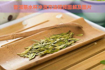 普洱茶水杯冲泡方法视频图解及图片