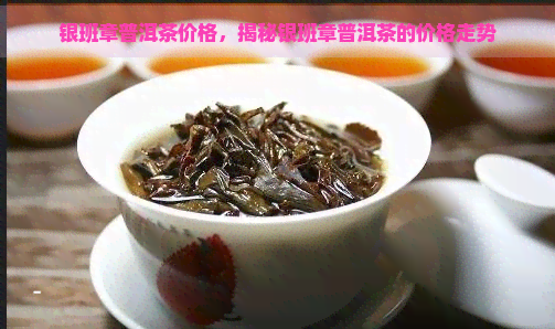 银班章普洱茶价格，揭秘银班章普洱茶的价格走势