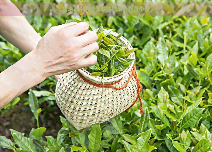 糯米香小沱普洱茶的简单介绍及价格