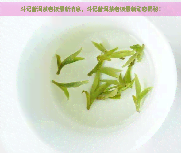 斗记普洱茶老板最新消息，斗记普洱茶老板最新动态揭秘！