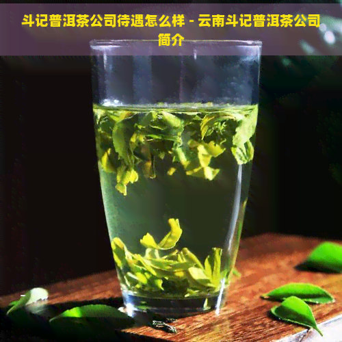 斗记普洱茶公司待遇怎么样 - 云南斗记普洱茶公司简介