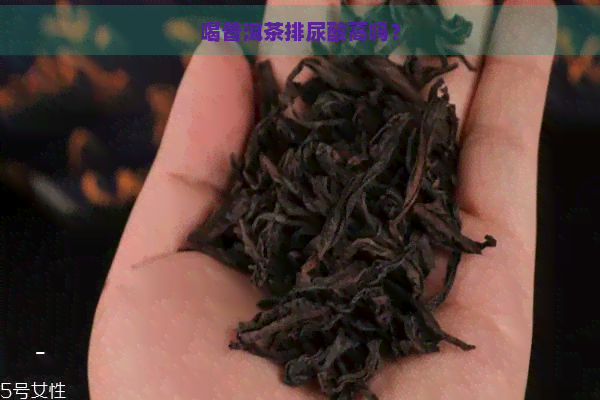 喝普洱茶排尿酸高吗？