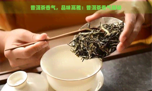 普洱茶香气，品味高雅：普洱茶香气揭秘