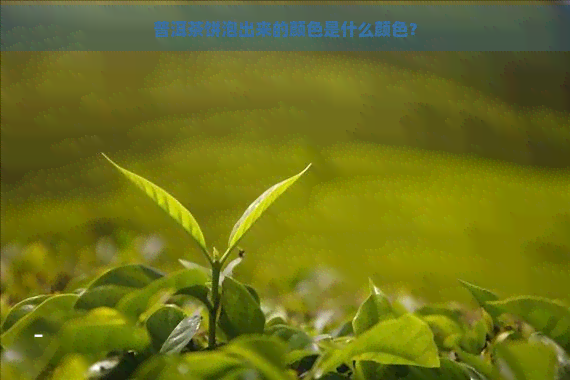 普洱茶饼泡出来的颜色是什么颜色？